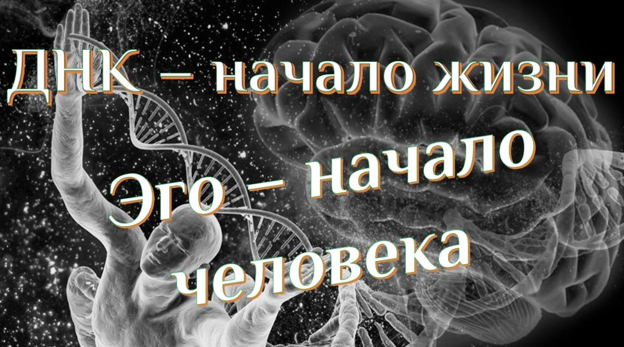 ДНК есть Эго человека