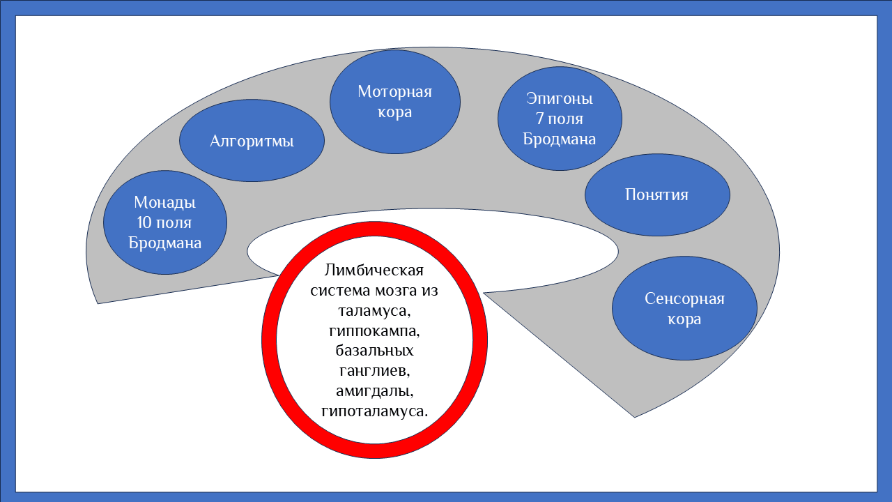 Органы психики