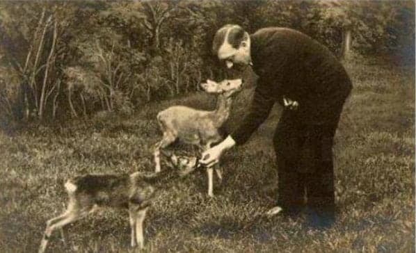 Адольф Гитлер был вегетарианцем, любил животных