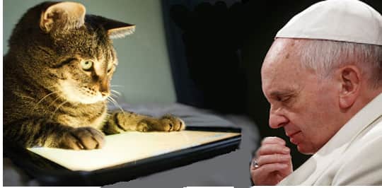 Папа Римский просит прощение