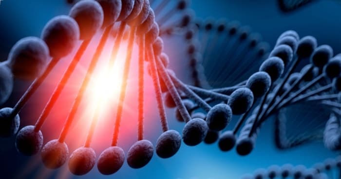 ДНК - мыслящая субстанция