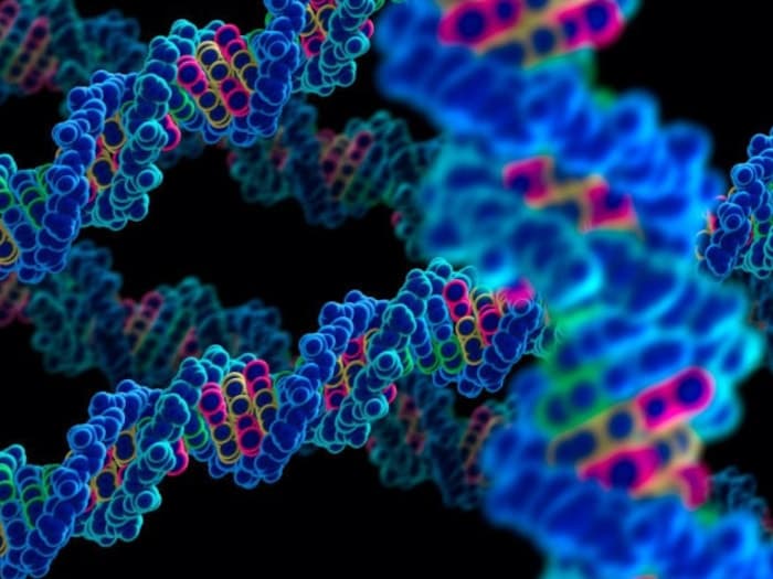 ДНК - мыслящая субстанция