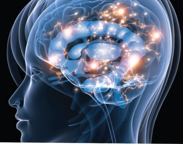 Нейрофизиологическая теория психики человека