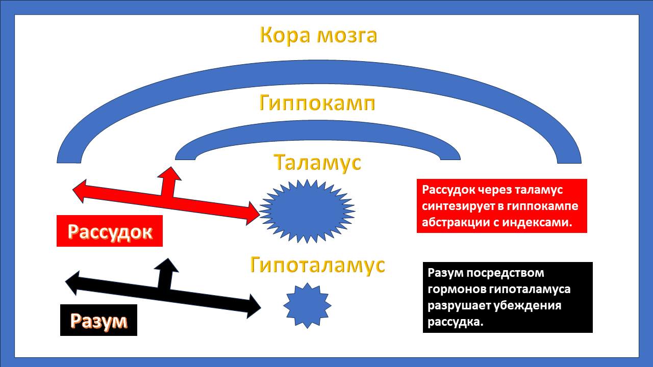 Разум и рассудок