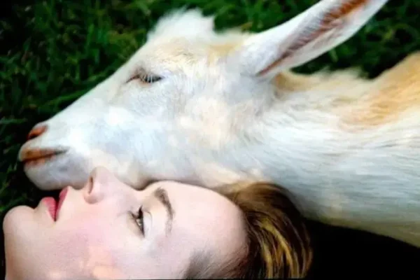 Любовь слепа – полюбишь и козла! Концепция Андрея Булатова.