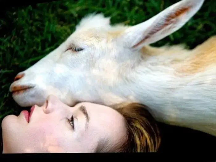 Любовь слепа – полюбишь и козла! Концепция Андрея Булатова.