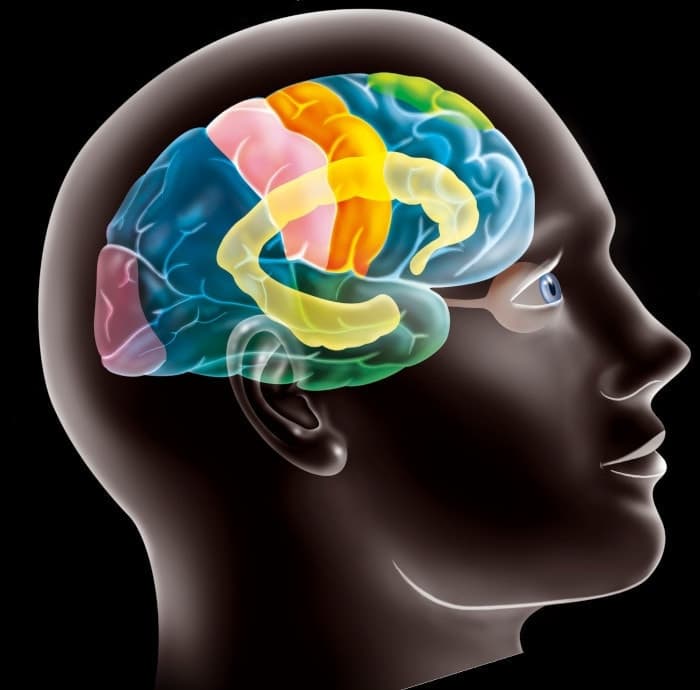 Человек – стихия импульсов - концепция Андрея Булатова