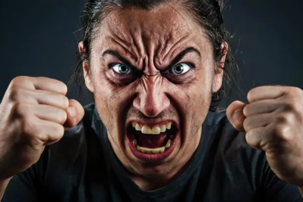 Вдохновение – причина агрессии. Концепция Андрея Булатова.