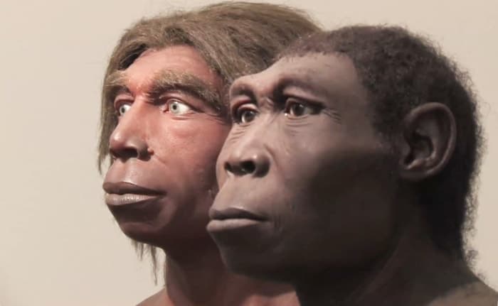 Четыре вида людей - концепция Андрея Булатова