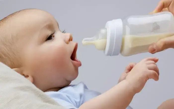 Искусственное кормление - концепция Андрея Булатова