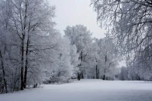 Причина холодов, катаклизмы атмосферы