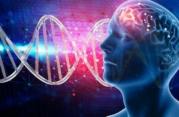 Теория разума - концепция Андрея Булатова