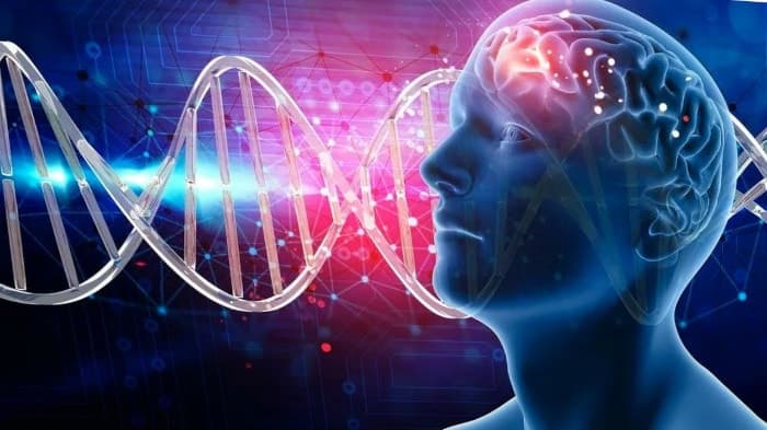 Теория разума - концепция Андрея Булатова