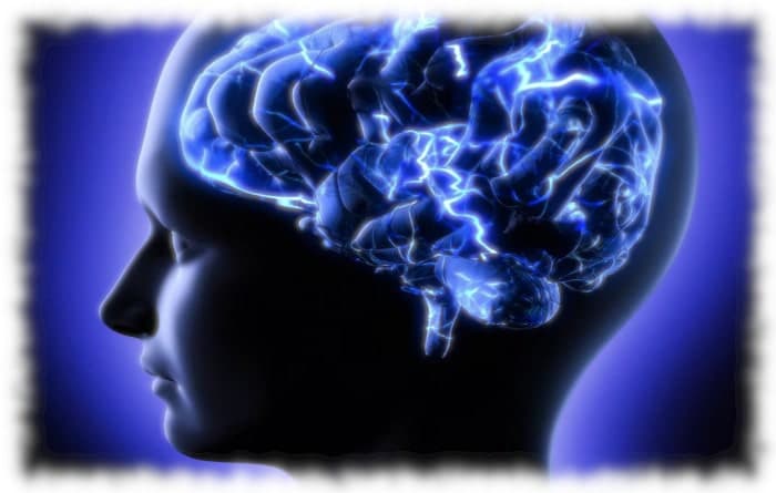 Евгений Власев, "Нейрофизиология мышления"