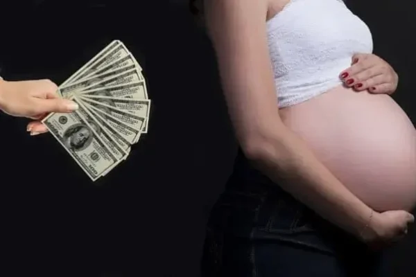 Суррогатная мать - концепция Андрея Булатова