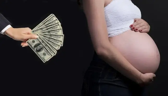 Суррогатная мать - концепция Андрея Булатова