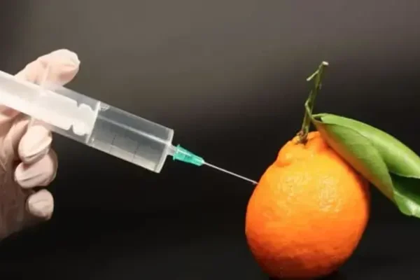 Мораль и наука - концепция Андрея Булатова