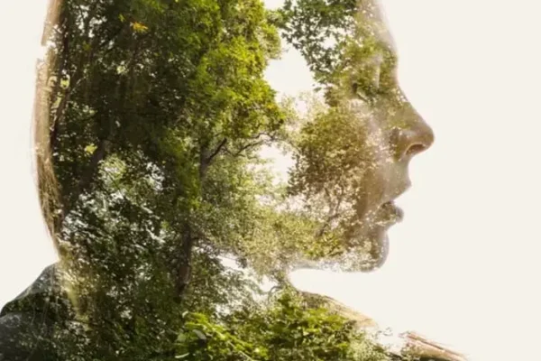 Чем естественные законы отличаются от социальных законов? Концепция Андрея Булатова.