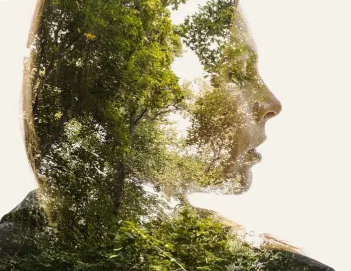 Чем естественные законы отличаются от социальных законов? Концепция Андрея Булатова.