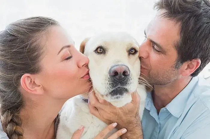 Животных любят больше - концепция Андрея Булатова