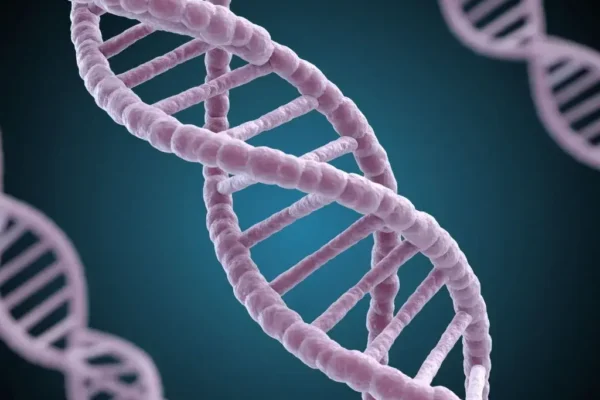 Молекула ДНК, феномен человека