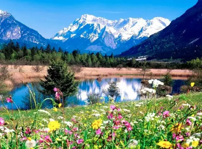 Таинство красоты - концепция Андрея Булатова