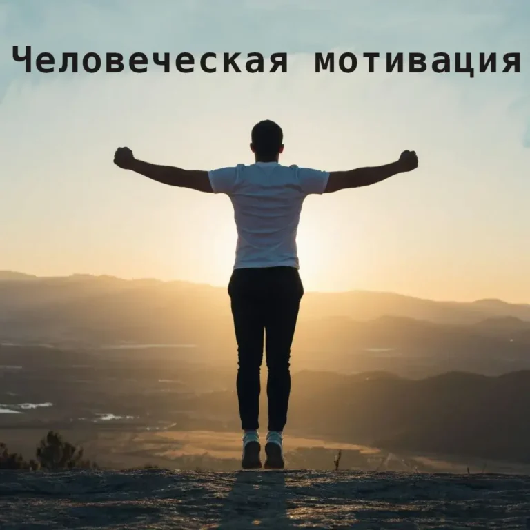 Человеческая мотивация, теория в декабре 2007 года