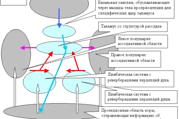 Противоположные потребности, январь 2008 год