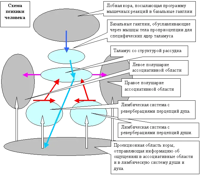Противоположные потребности, январь 2008 год