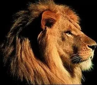 Как добиваться уважения - концепция Андрея Булатова