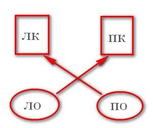 Психофизиология до июня 2009 г Перцепция