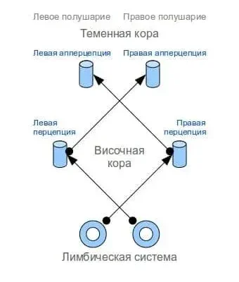 Интеллект человека в единстве разума и рассудка