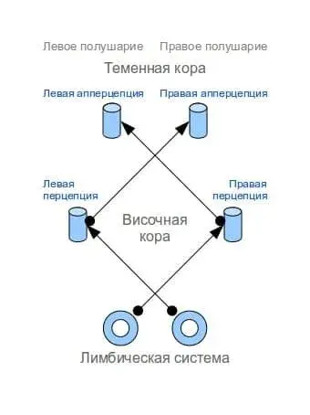 Интеллект человека в единстве разума и рассудка