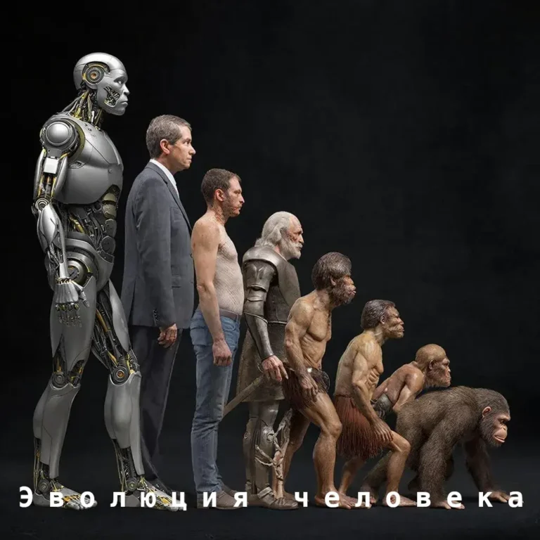 Эволюция человека - концепция Андрея Булатова