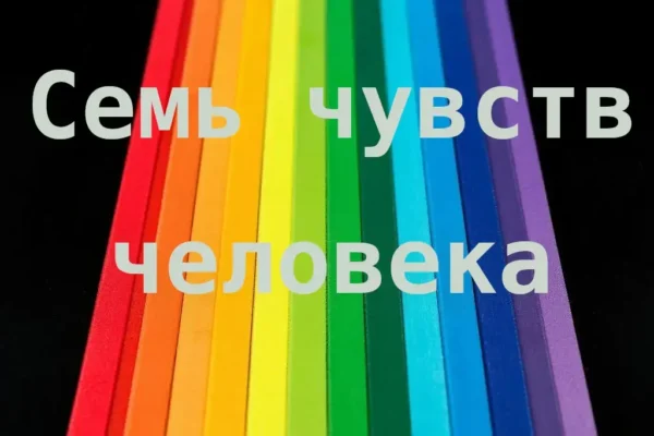 Семь чувств человека - концепция Андрея Булатова