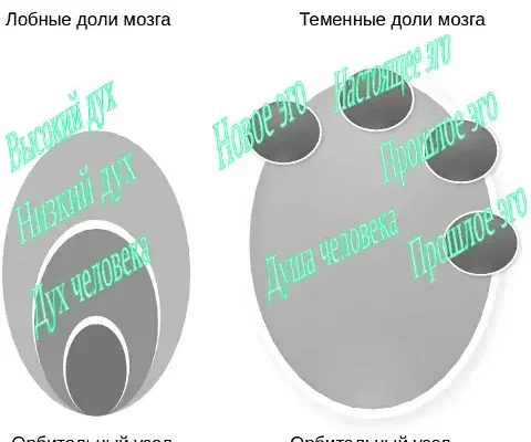Основы психики человека - теория до 1 октября 2014 года