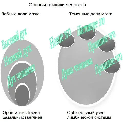Основы психики человека - теория до 1 октября 2014 года