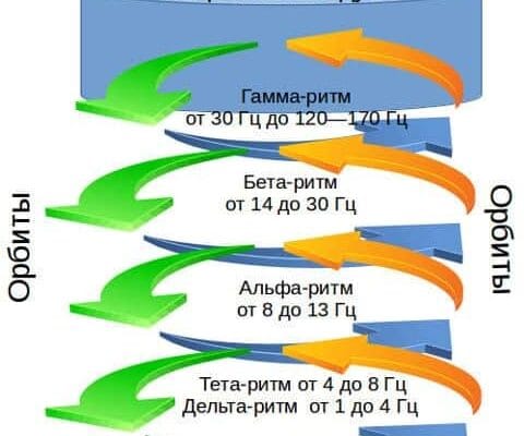 Модуль нейронный, как элемент психики человека