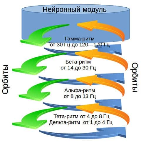 Модуль нейронный, как элемент психики человека
