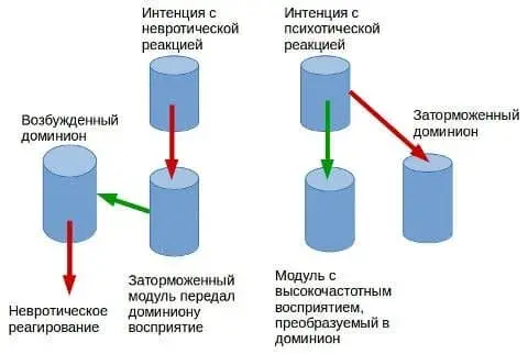 Невроз и психоз в процессе реагирования на восприятие