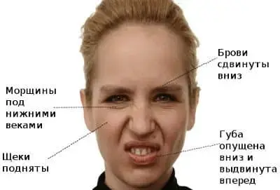 Почему презирают и ненавидят, как управлять своими чувствами