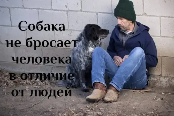 17 октября - Международный день борьбы за ликвидацию нищеты