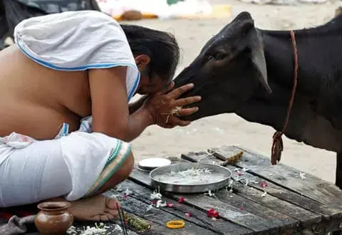 Отличие морали от нравственности - концепция Андрея Булатова