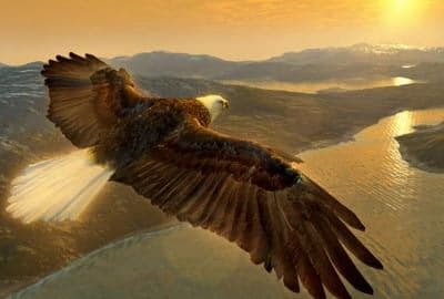 Дух и воля - концепция Андрея Булатова