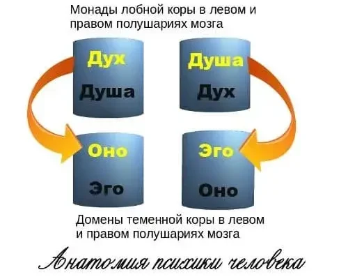 Анатомия психики человека - концепция Андрея Булатова