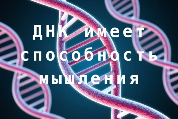 ДНК: кислота в модуле имеет мыслительные свойства