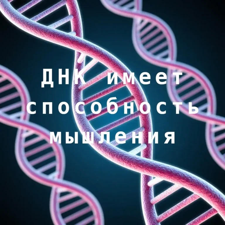 ДНК: кислота в модуле имеет мыслительные свойства