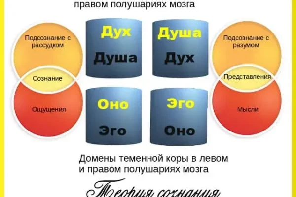 Эго и Оно: теория сознания до 10 декабря 2017 года
