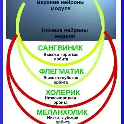 Темперамент по Гиппократу, нейрофизиология четырех типов