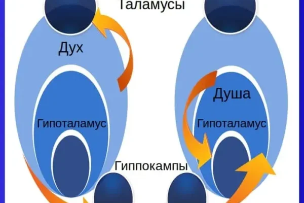 Диссонанс межполушарный в квантовой психологии